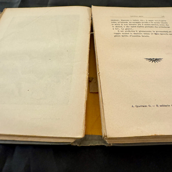 Libro "Il solitario del deserto" Antonio Quattrini G. Società Editrice Roma Como 1908